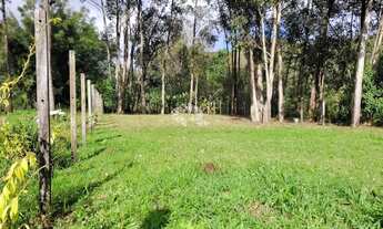 Imagem 4: Terreno grande, plano, elevado e bem cuidado no Juriti