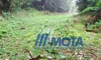 Imagem 3: Ótima área a venda Campo Largo 11,8 alqueires R$ 280.000