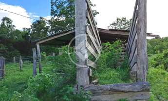 Imagem 6: FAZENDA NO DISTRITO DE CANGAS EM POCONÉ 50 hectares 01 casa 10 represa 30 hectares de past