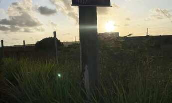 Imagem 3: Trevo do Francês