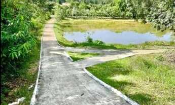 Imagem 6: Nova Manaus Lotes Entrada R$3.612 Km 08