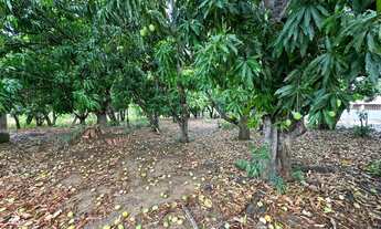 Imagem 2: Chácara Padre Bernardo Goiás