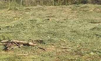 Imagem 2: Vende terreno 1000 mts Ibiuna-sp