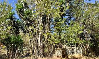 Imagem 3: Vendo chácara Chácara com venda por R$140.000