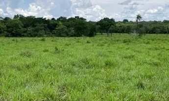 Imagem 4: Fazenda à Venda, 177 Alqueires Campos Belos - GO