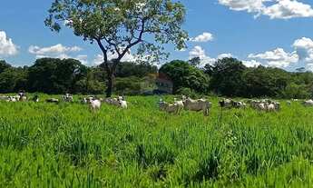 Imagem 5: Área para plantio de soja;grãos.Criação de gado bovino. 900 hectares.Agricultura e PECUÁRI