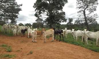 Imagem 3: Baixadão de 15 hectares, com casa antiga, córrego nos fundos, Serra do Cipó
