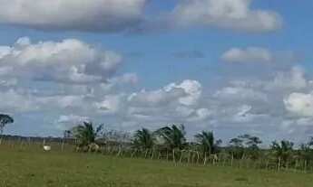 Imagem: Sítio à venda em Entre Rios-BA, bairro