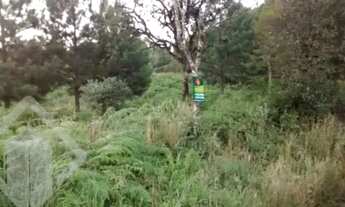 Imagem 11: Propriedade Rural no bairro Ana Rech