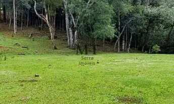 Imagem 4: Área de terra bairro Linha Imperial, Nova Petrópolis.RS Ref.:131