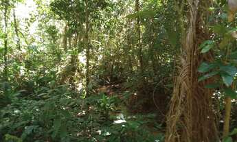 Imagem 5: Terreno com ribeirao 65 mil reais