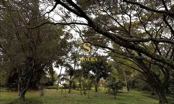 Imagem 4: Apartamento para venda com 3 quartos no Córrego Grande - Florianópolis - SC