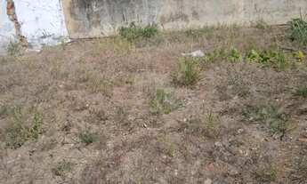 Imagem 6: Terreno para venda no Bairro Cazeca