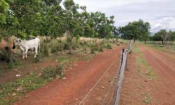 Imagem 3: FAZENDA NO TO/GO GRANDE OPORTUNIDADE
