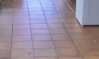 Imagem 7: OPORTUNIDADE DE GRANJA EM MORENO - PE ( PARA VENDER RAPIDO) INVISTA EM OPORTUNIDADE DE VER