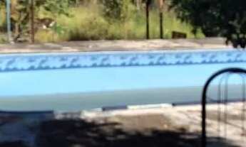 Imagem 3: Linda chácara muito segura arrudeada de policiai. Fica no santo Antônio descoberto