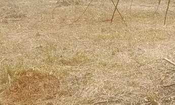 Imagem 5: Terreno com água no fundo