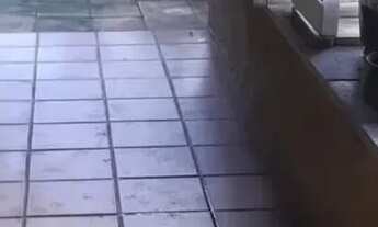 Imagem 4: OPORTUNIDADE DE GRANJA EM MORENO - PE ( PARA VENDER RAPIDO) INVISTA EM OPORTUNIDADE DE VER