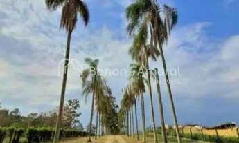 Imagem 2: Lote Exclusivo à Venda no Condomínio Reserva da Floresta , no distrito de Sousas em Campin