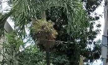 Imagem 5: Sala para alugar, 41 m² por R$ 1.329,27/mês - Fátima - Fortaleza/CE