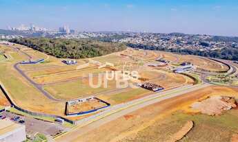 Imagem 2: Plateau Dor Unique