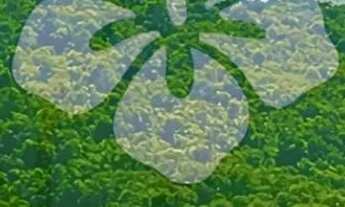 Imagem: Terrenos para venda tem 1000 metros quadrados