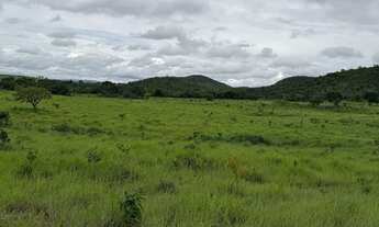 Imagem 4: Vendo ou alugo fazenda 52 alqueires