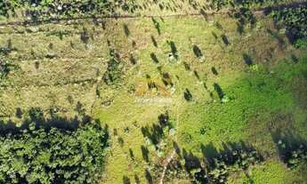 Imagem 7: Fazenda com 10 Alqueires na Zona Rural de Palmas - Sentido Lajeado á 45 km do Centro