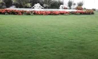 Imagem 3: CASA NA PRAIA DA TAIBA, DISPONÍVEL PARA FINAIS DE SEMANA FERIADOS E TEMPORADAS