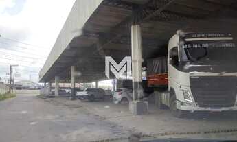 Imagem 3: Galpão na BR-316 - Castanheira - Belém/PA