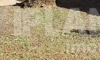 Imagem 5: Casa 4 dorm. sendo 1 suíte - Jardim Paulistano