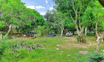 Imagem 5: Chácara com terreno 100x100