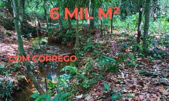 Imagem 2: ÚNICA CHÁCARA COM CÓRREGO E 6 MIL M² AO LADO DA BR 010 INDO PARA APARECIDADA DO RIO NEGRO