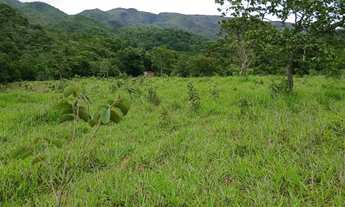 Imagem 3: Sítio 49 hectares