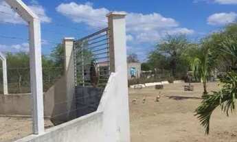 Imagem 4: Sítio entre a cidade de Santaluz e Valente