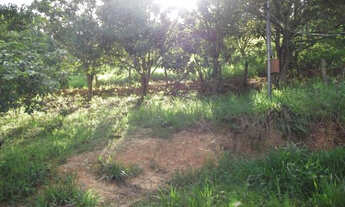 Imagem 6: Serra d Cipó!!! fazendinha rural de 6.5 ha todo formado * WhtsApp