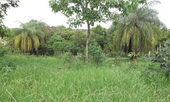 Imagem: Oportunidades LOtes de 1.000m a 68km de