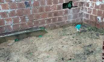 Imagem 5: Vendo terro Casa com venda por R$19