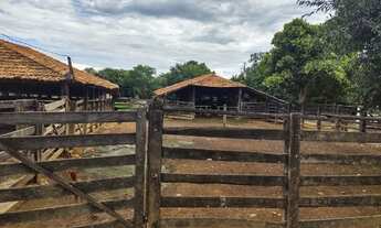 Imagem 7: Fazenda boa para gado