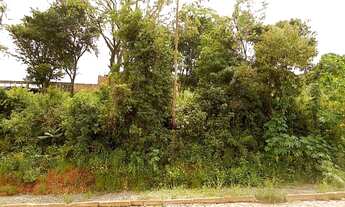 Imagem: SãO LEOPOLDO - Terreno Padrão - Campestre