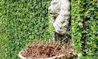 Imagem 3: Casa com 5 dormitórios à venda, 730 m² por R$ 4.500.000,00 - Fazenda Morumbi - São Paulo/S