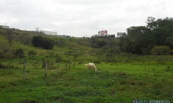 Imagem: AREA - CURURUQUARA - SP