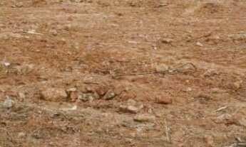 Imagem 2: Terreno à venda, Ipiranga, São Paulo, SP