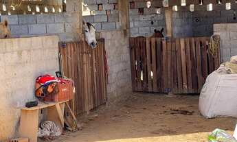 Imagem 4: Sítio na cidade de Itatiba 500 metros da rodovia D.Pedro I