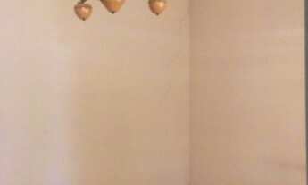 Imagem 2: CASA TÉRREA - VILA SÃO JOSÉ - SP