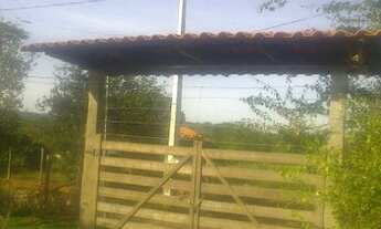 Imagem 6: Conceição Do Pará - Sítio - Zona Rural