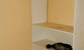 Imagem 4: LOJA - VILA NOVA CONCEIÇÃO - SP