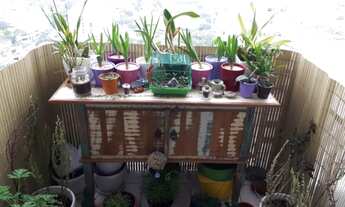 Imagem 5: SÃO PAULO - RESIDENCIAL - VILA DA SAÚDE