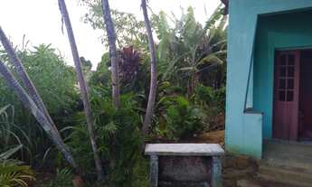 Imagem 3: Terreno medindo 36MT de comprimento por 14MT de largura com 2 casas de laje