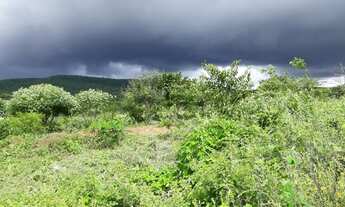 Imagem 4: Terreno para chácara